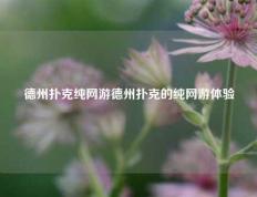 德州扑克纯网游德州扑克的纯网游体验