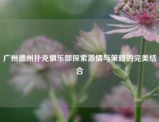 广州德州扑克俱乐部探索激情与策略的完美结合