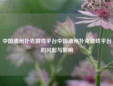 中国德州扑克游戏平台中国德州扑克游戏平台的兴起与影响