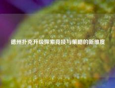 德州扑克升级探索竞技与策略的新维度
