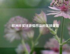 欧洲杯买球激情四溢的足球盛宴