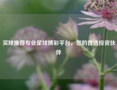 买球推荐专业足球博彩平台，您的首选投资伙伴