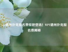 wpt德州扑克报名费惊艳登场！WPT德州扑克报名费揭秘