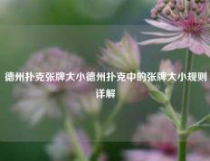 德州扑克张牌大小德州扑克中的张牌大小规则详解