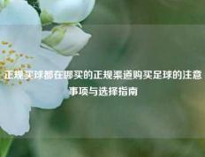 正规买球都在哪买的正规渠道购买足球的注意事项与选择指南