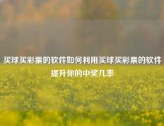 买球买彩票的软件如何利用买球买彩票的软件提升你的中奖几率