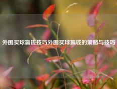 外围买球赢钱技巧外围买球赢钱的策略与技巧