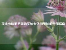 买迪卡侬羽毛球购买迪卡侬羽毛球的全面指南