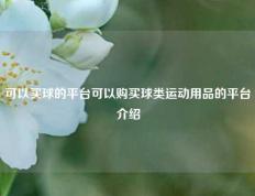 可以买球的平台可以购买球类运动用品的平台介绍