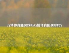 万博体育能买球吗万博体育能买球吗？