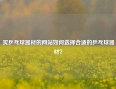 买乒乓球器材的网站如何选择合适的乒乓球器材？