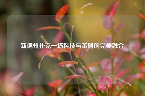 新德州扑克一场科技与策略的完美融合
