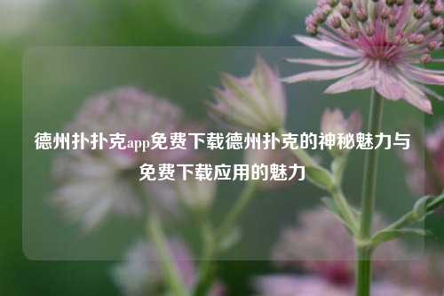 德州扑扑克app免费下载德州扑克的神秘魅力与免费下载应用的魅力