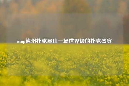 wsop德州扑克昆山一场世界级的扑克盛宴