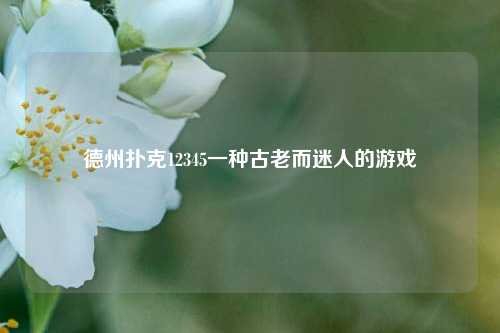德州扑克12345一种古老而迷人的游戏