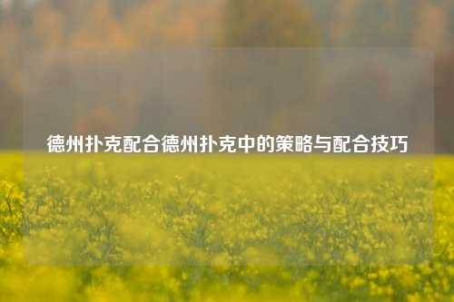 德州扑克配合德州扑克中的策略与配合技巧