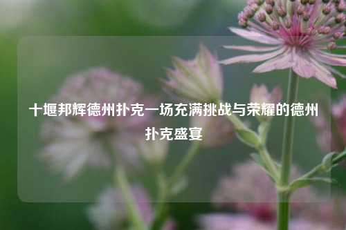 十堰邦辉德州扑克一场充满挑战与荣耀的德州扑克盛宴