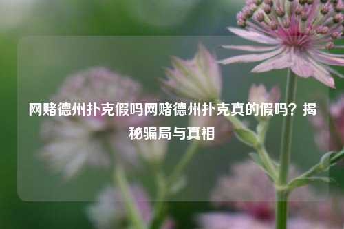 网赌德州扑克假吗网赌德州扑克真的假吗？揭秘骗局与真相