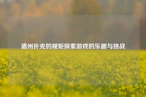 德州扑克的规矩探索游戏的乐趣与挑战