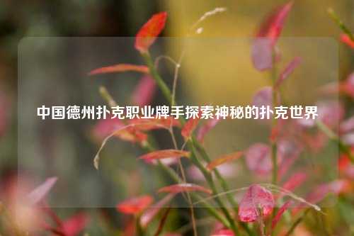 中国德州扑克职业牌手探索神秘的扑克世界