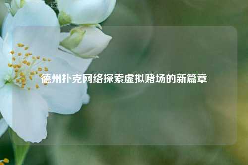 德州扑克网络探索虚拟赌场的新篇章