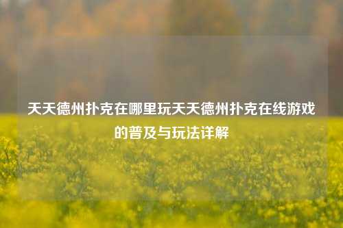 天天德州扑克在哪里玩天天德州扑克在线游戏的普及与玩法详解