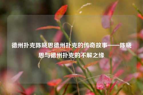德州扑克陈晓思德州扑克的传奇故事——陈晓思与德州扑克的不解之缘