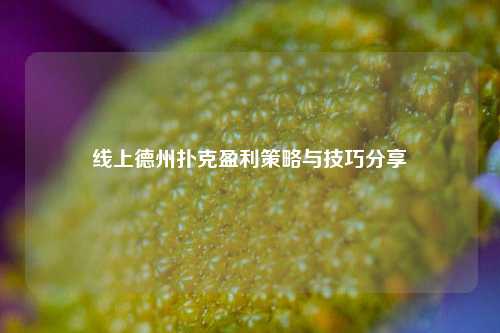 线上德州扑克盈利策略与技巧分享