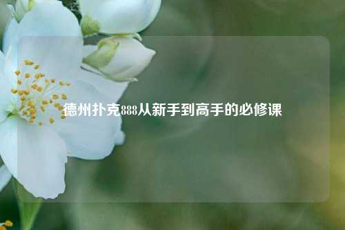 德州扑克888从新手到高手的必修课