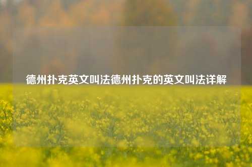 德州扑克英文叫法德州扑克的英文叫法详解