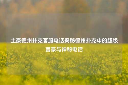 土豪德州扑克客服电话揭秘德州扑克中的超级富豪与神秘电话