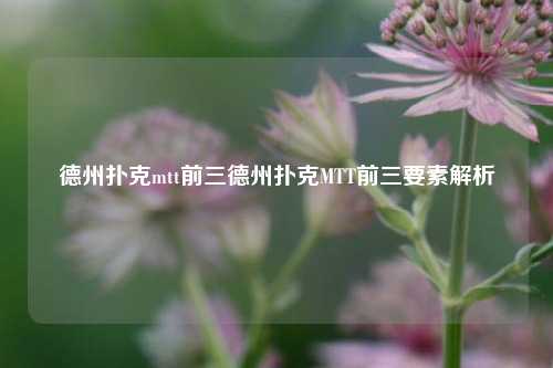 德州扑克mtt前三德州扑克MTT前三要素解析
