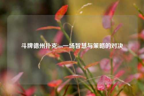 斗牌德州扑克ios一场智慧与策略的对决