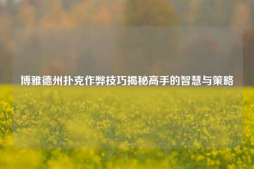 博雅德州扑克作弊技巧揭秘高手的智慧与策略