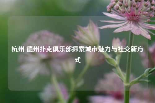 杭州 德州扑克俱乐部探索城市魅力与社交新方式