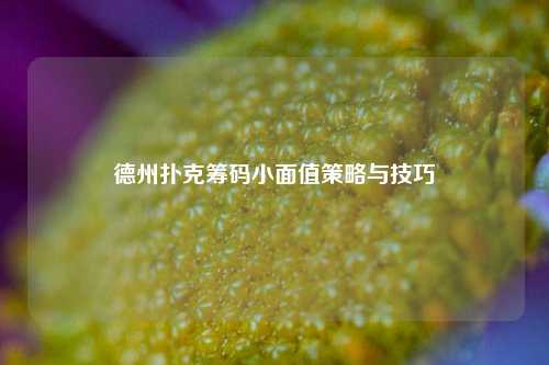 德州扑克筹码小面值策略与技巧