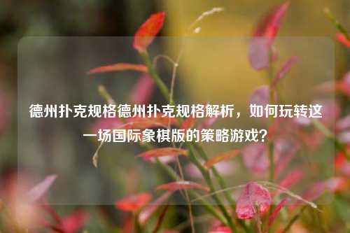 德州扑克规格德州扑克规格解析，如何玩转这一场国际象棋版的策略游戏？