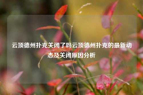 云顶德州扑克关闭了吗云顶德州扑克的最新动态及关闭原因分析