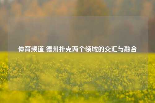 体育频道 德州扑克两个领域的交汇与融合