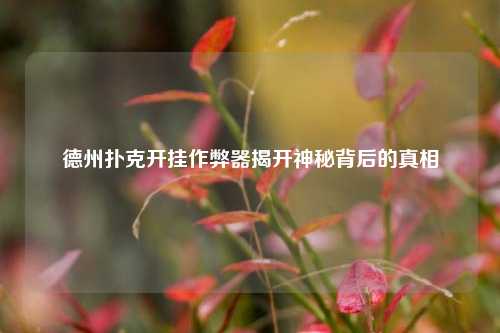 德州扑克开挂作弊器揭开神秘背后的真相