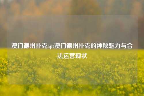 澳门德州扑克apt澳门德州扑克的神秘魅力与合法运营现状