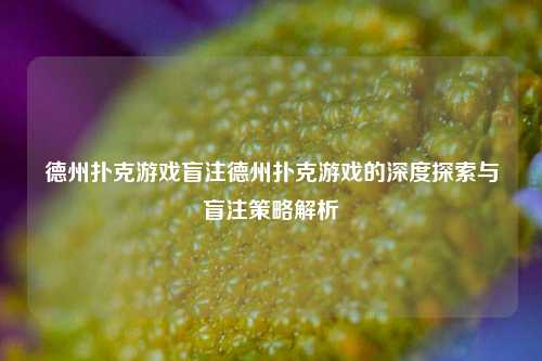 德州扑克游戏盲注德州扑克游戏的深度探索与盲注策略解析
