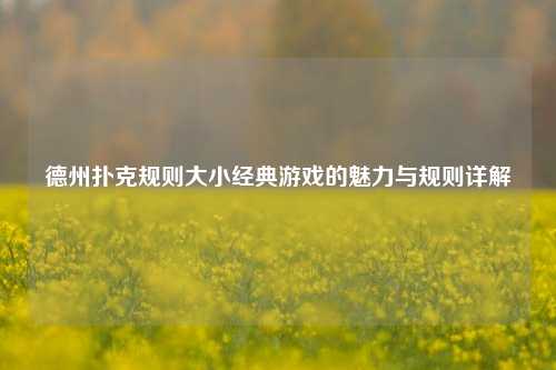 德州扑克规则大小经典游戏的魅力与规则详解