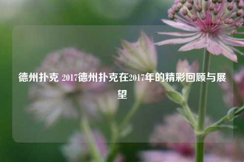德州扑克 2017德州扑克在2017年的精彩回顾与展望