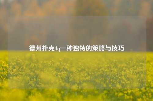 德州扑克4q一种独特的策略与技巧