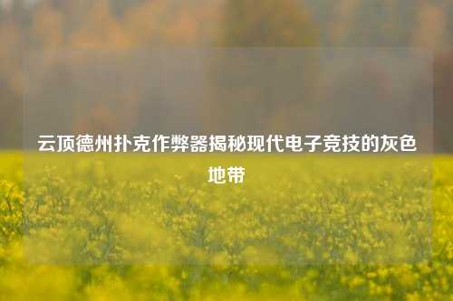 云顶德州扑克作弊器揭秘现代电子竞技的灰色地带