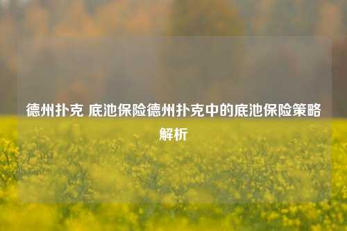 德州扑克 底池保险德州扑克中的底池保险策略解析
