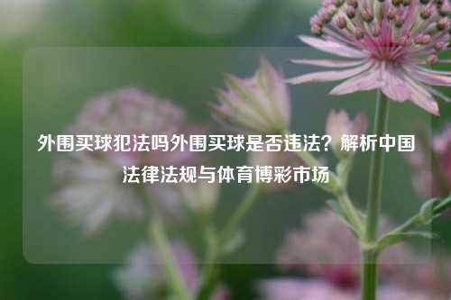 外围买球犯法吗外围买球是否违法？解析中国法律法规与体育博彩市场