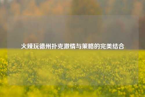 火辣玩德州扑克激情与策略的完美结合