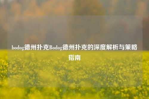 bodog德州扑克Bodog德州扑克的深度解析与策略指南